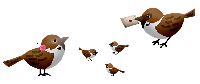 birds-6008022_640.png
